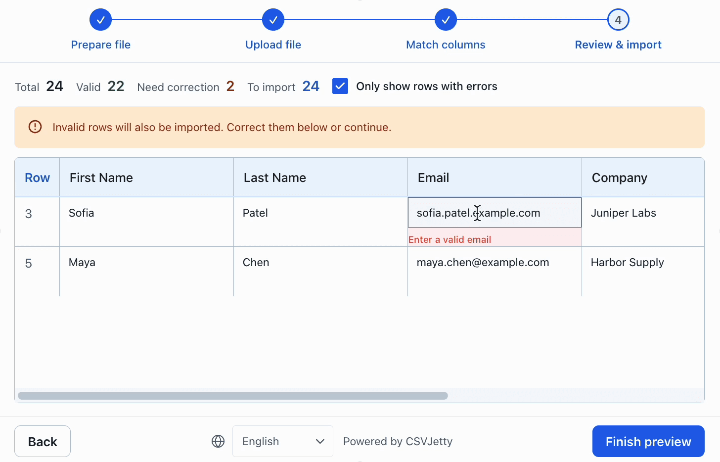 Review table filtered to rows with errors, including an editable invalid email